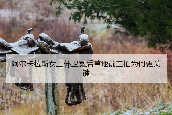 a-er-ka-la-si-nv-wang-bei-wei-mian-hou-cao-di-qian-san-pai-wei-he-geng-guan-jian-2-658.jpg