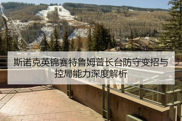 si-nuo-ke-ying-jin-sai-te-lu-mu-pu-zhang-tai-fang-shou-bian-zhao-yu-kong-ju-neng-li-shen-du-jie-xi-2-140.jpg