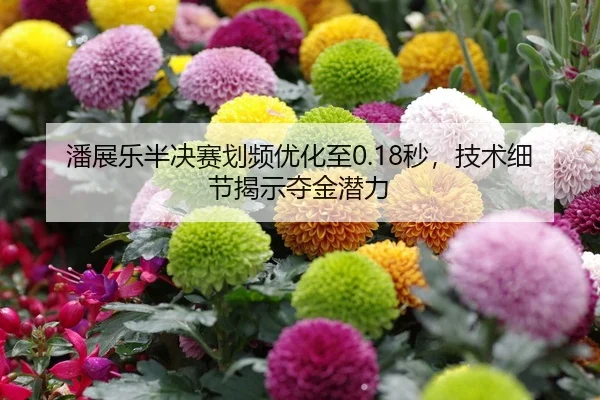潘展乐半决赛划频优化至0.18秒，技术细节揭示夺金潜力