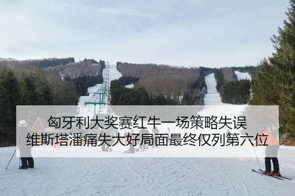 匈牙利大奖赛红牛一场策略失误 维斯塔潘痛失大好局面最终仅列第六位
