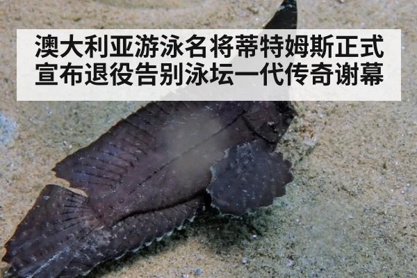 澳大利亚游泳名将蒂特姆斯正式宣布退役告别泳坛一代传奇谢幕