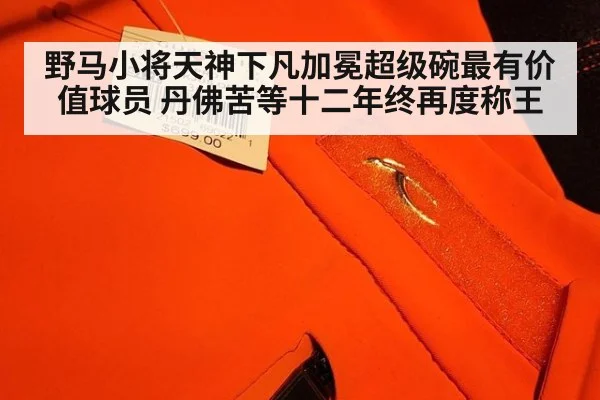 野马小将天神下凡加冕超级碗最有价值球员 丹佛苦等十二年终再度称王